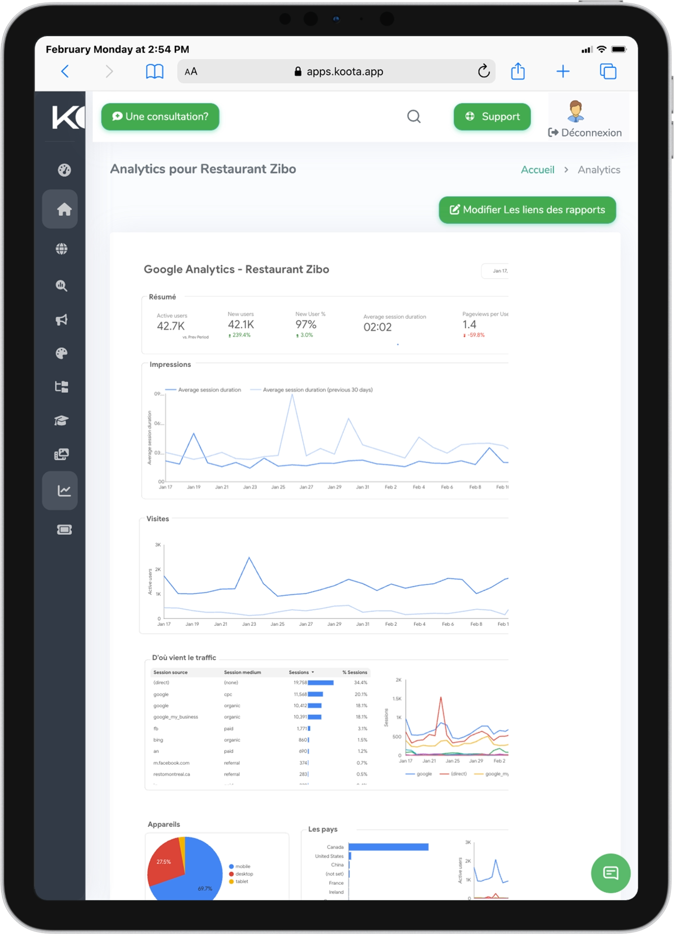 Analyse SEO centralisée avec Koota